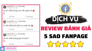 dich-vu-danh-gia-fanpage