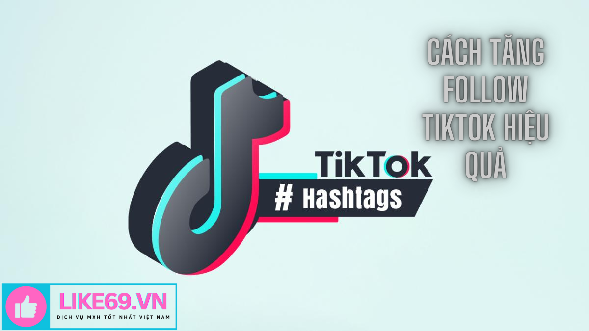 Các Cách Hiệu Quả Để Tăng Follow TikTok