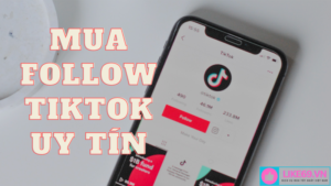 Mua follow tiktok giá rẻ uy tín